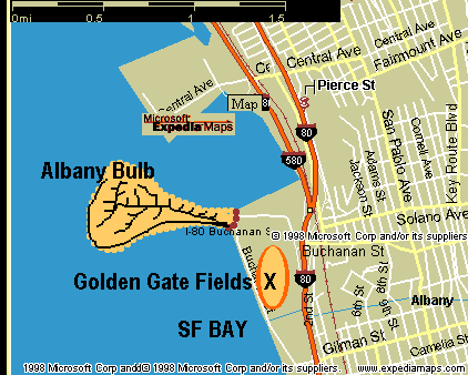 Aerial view of Albany Bulb squat/ neighborhood map