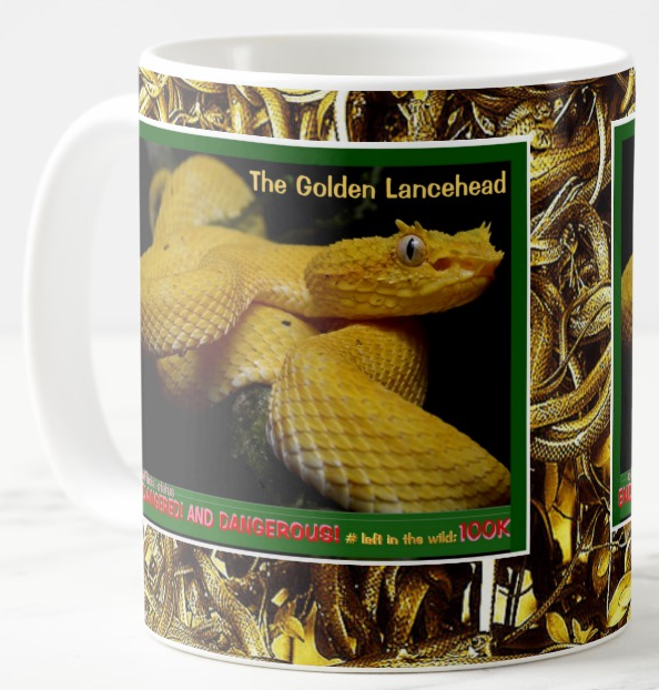 The Golden Lancehead endangered coffee mug