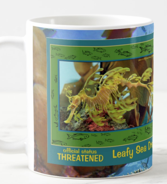 Endangered_Leafy Sea Dragon_coffee_mug