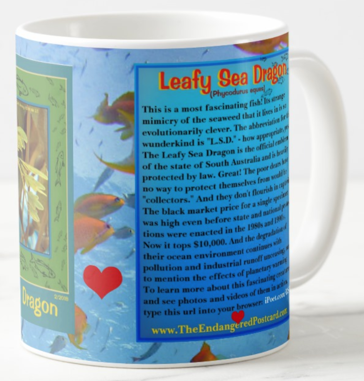 The Leafy Sea Dragon_coffee_mug